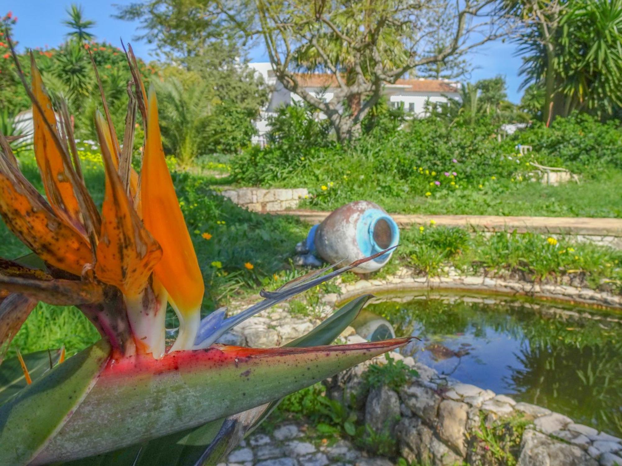 Quinta De Lagos Exteriör bild